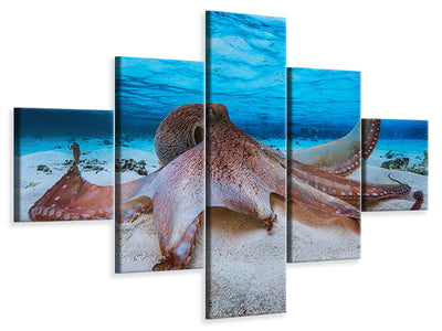5-piece-canvas-print-octopus