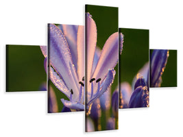 5-piece-canvas-print-ornamental-lilies-with-morning-dew