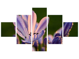 5-piece-canvas-print-ornamental-lilies-with-morning-dew