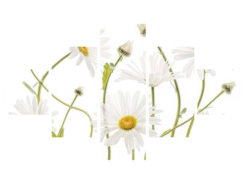 5-piece-canvas-print-ox-eye-daisies