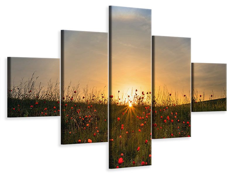 5-piece-canvas-print-red-poppies-and-sunrise