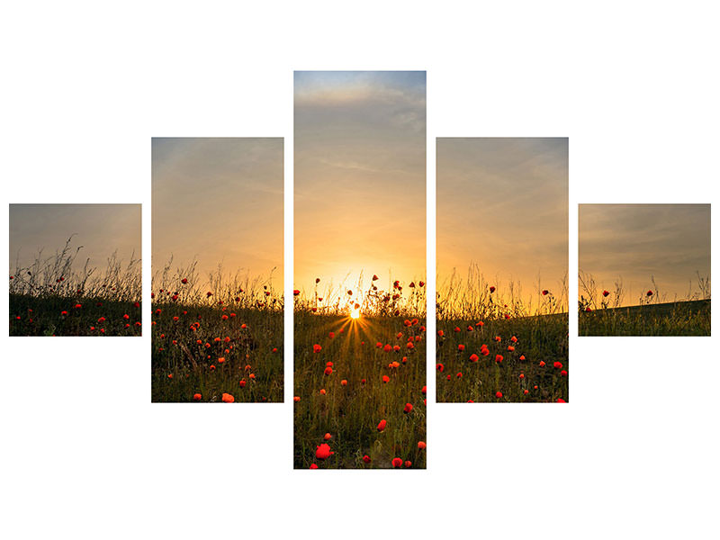 5-piece-canvas-print-red-poppies-and-sunrise