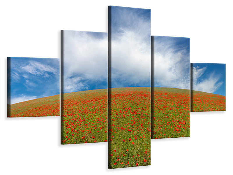 5-piece-canvas-print-red-poppies