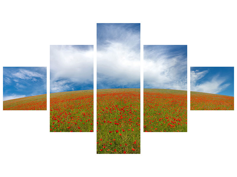 5-piece-canvas-print-red-poppies