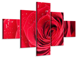 5-piece-canvas-print-red-rose-in-morning-dew