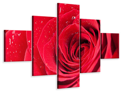 5-piece-canvas-print-red-rose-in-morning-dew