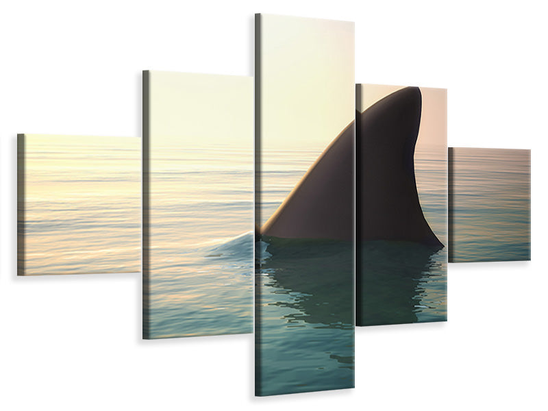 5-piece-canvas-print-shark-fin