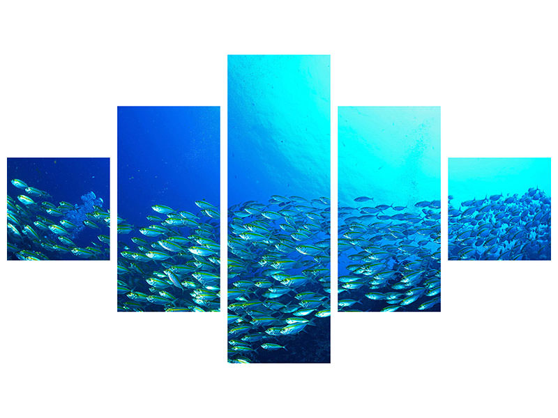 5-piece-canvas-print-shoal-of-fish