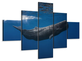 5-piece-canvas-print-sperm-whale