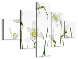 5-piece-canvas-print-spring-snowdrops