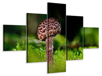 5-piece-canvas-print-strobilomyces-strobilaceus