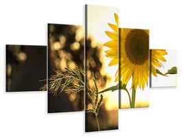 5-piece-canvas-print-sunflower-in-the-sunrise