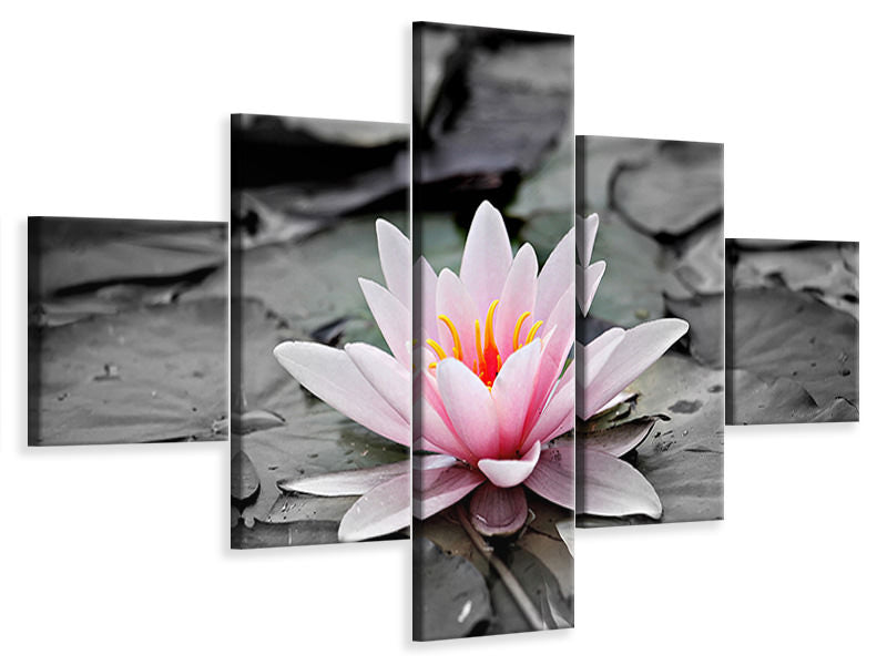 5-piece-canvas-print-the-art-of-water-lily