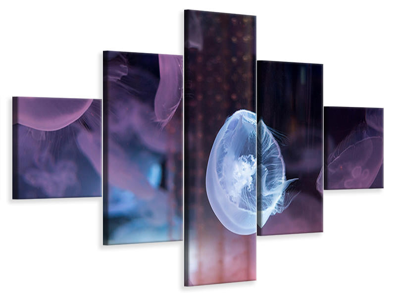 5-piece-canvas-print-the-beauty-of-jellyfish