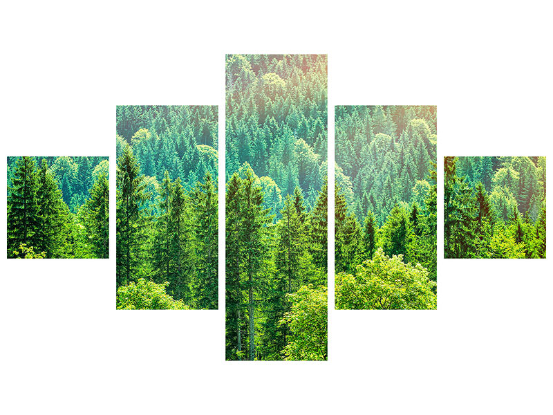 5-piece-canvas-print-the-forest-hill