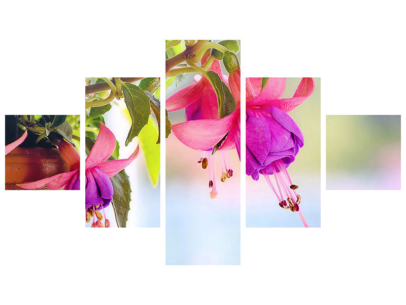 5-piece-canvas-print-the-fuchsias