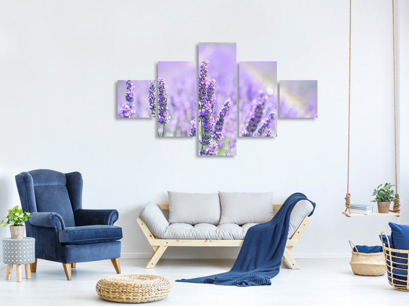 5-piece-canvas-print-the-lavender-blossom