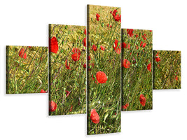 5-piece-canvas-print-the-poppy-in-the-wind