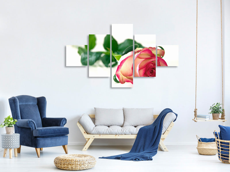 5-piece-canvas-print-the-proud-rose