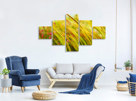 5-piece-canvas-print-the-wheat-field