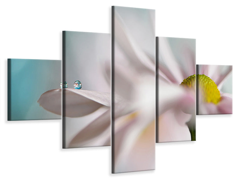 5-piece-canvas-print-tiny-duo