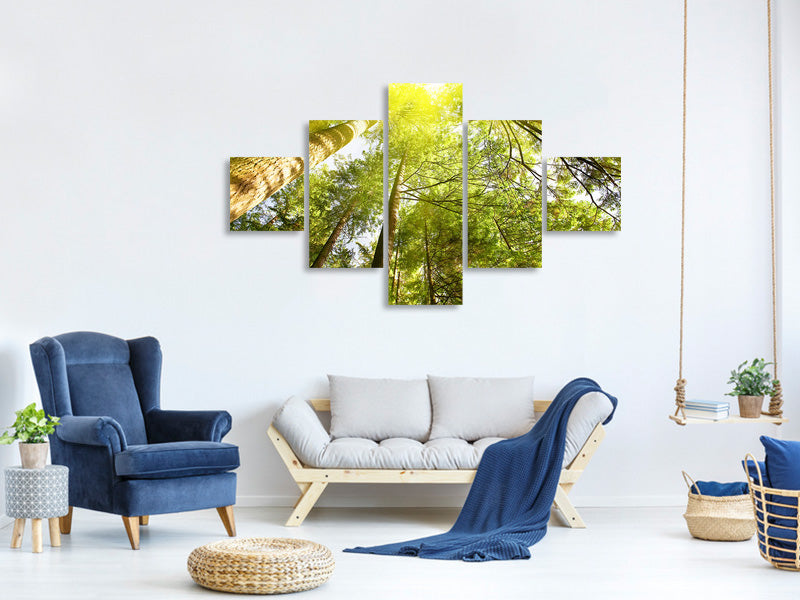 5-piece-canvas-print-treetops-in-the-sun