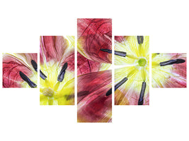 5-piece-canvas-print-tulips