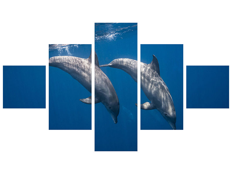 5-piece-canvas-print-two-bottlenose-dolphins