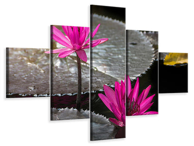 5-piece-canvas-print-water-lily-in-the-morning-dew