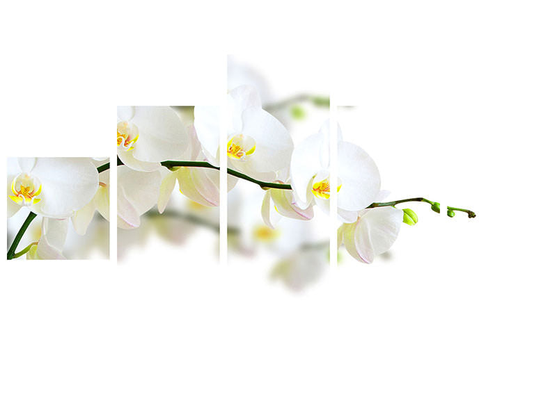 5-piece-canvas-print-white-orchids
