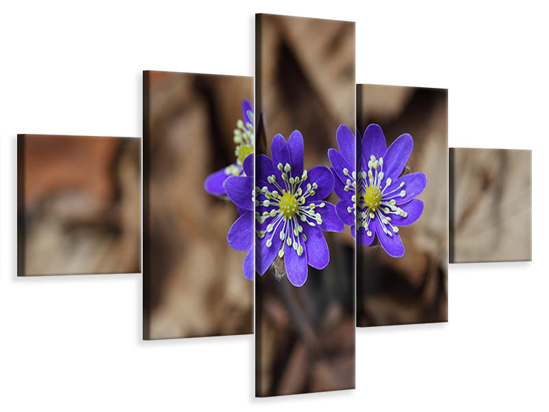 5-piece-canvas-print-wildflowers