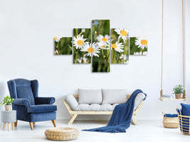 5-piece-canvas-print-xl-daisies