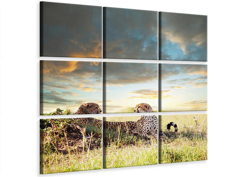 9-piece-canvas-print-cheetahs