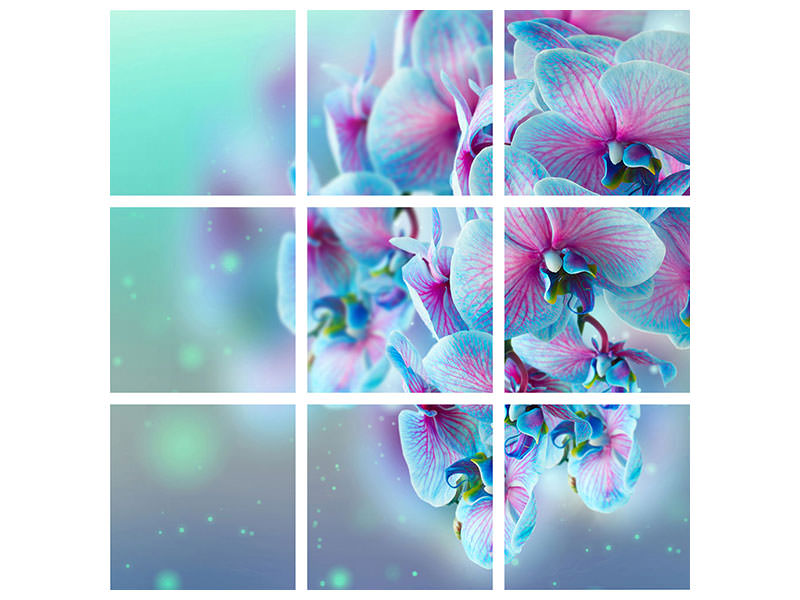 9-piece-canvas-print-colored-orchids