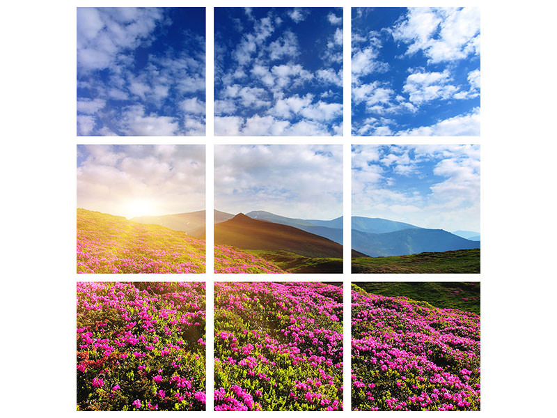 9-piece-canvas-print-flowery-mountain-landscape