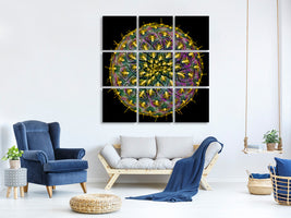 9-piece-canvas-print-sulcorebutia-rauschii
