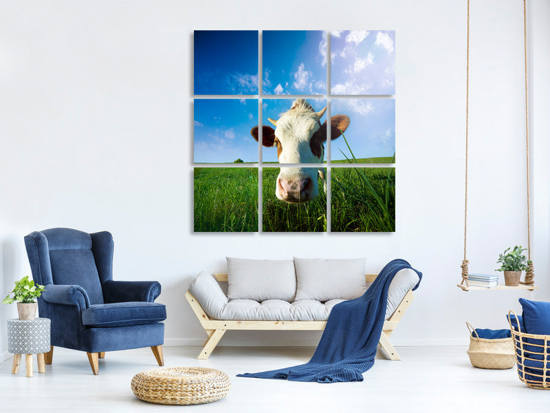 9-piece-canvas-print-the-cow