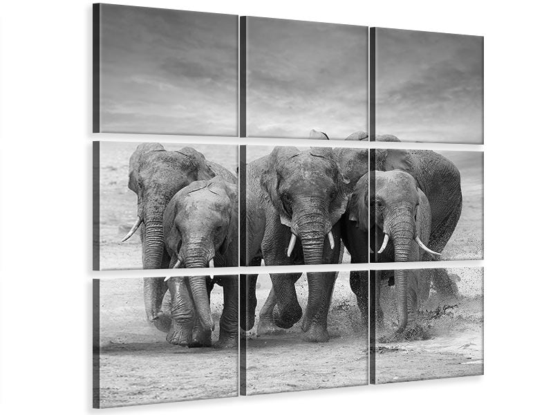 9-piece-canvas-print-the-elephants