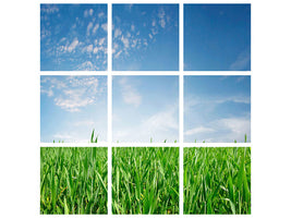 9-piece-canvas-print-the-grass