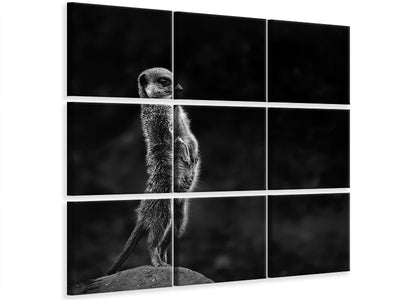 9-piece-canvas-print-the-meerkat