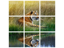 9-piece-canvas-print-the-tiger