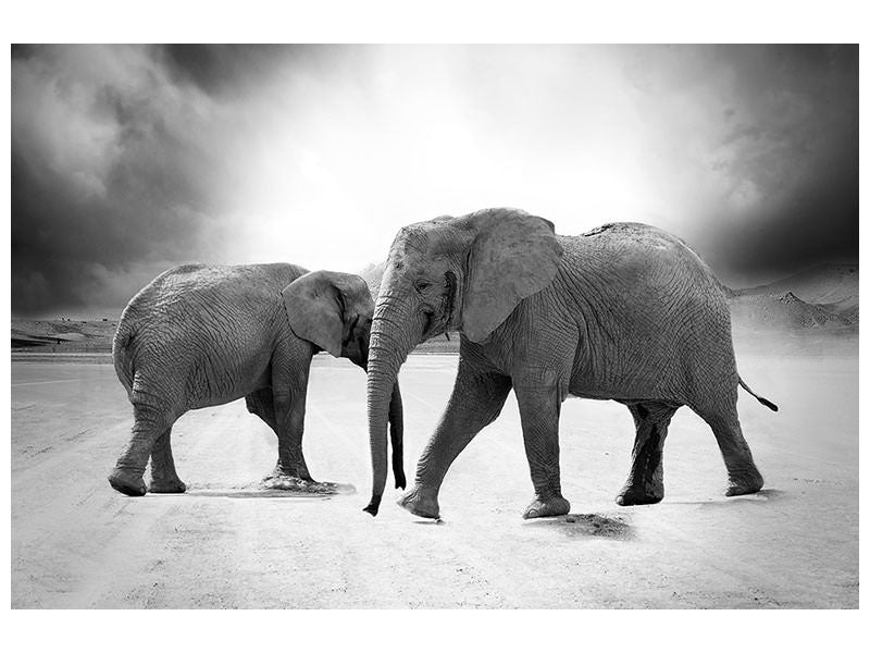 canvas-print-2-elephants-sw