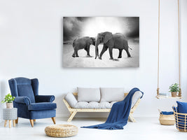 canvas-print-2-elephants-sw
