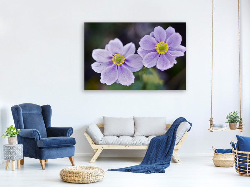 canvas-print-2-flowers