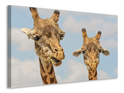 canvas-print-2-giraffes