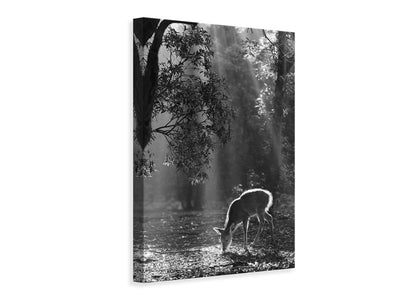 canvas-print-a-fawn-in-the-forest-x