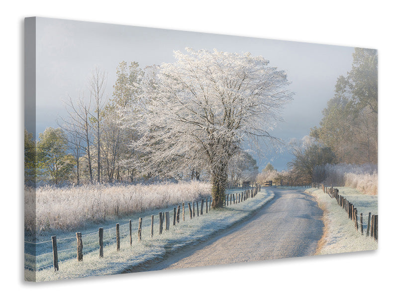 canvas-print-a-frosty-morning