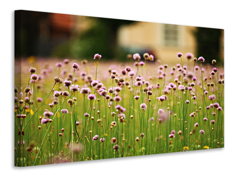 canvas-print-a-meadow-full-of-flowers