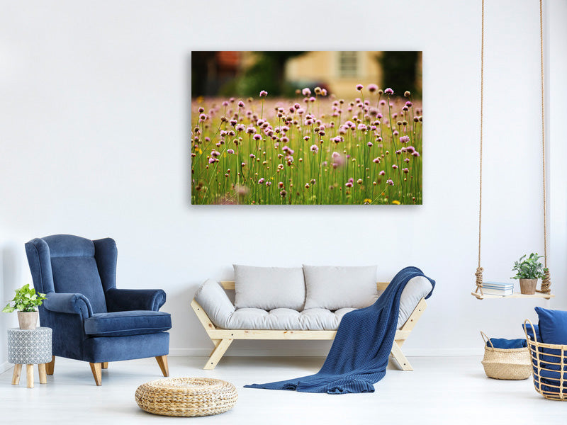 canvas-print-a-meadow-full-of-flowers