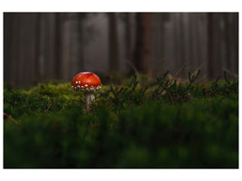 canvas-print-a-mushroom-in-the-forest